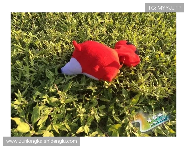 通过尊龙官方网站官网入口体验最新游戏资讯，掌握行业动态，赢在起点